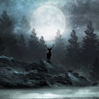 Forest deer Panoramic wallpaper