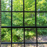 Eye catcher Forest Window 2 Panoramic Wallpaper