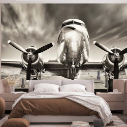 Plane Panoramic Wallpaper