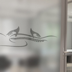 Osteopathy Physiotherapy Privacy Window film