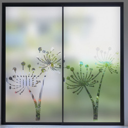 Dandelion Privacy Window film
