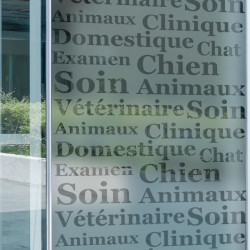 Veterinarian Store Privacy Window film