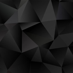 Black Relief Panoramic wallpaper