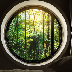 Eye catcher forest porthole Panoramic Wallpaper