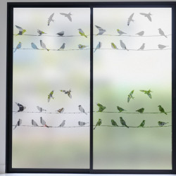 Birds on line Privacy Window film