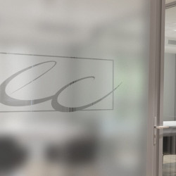 Chartered Accountant Privacy Window film