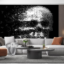Skull Art Panoramic wallpaper