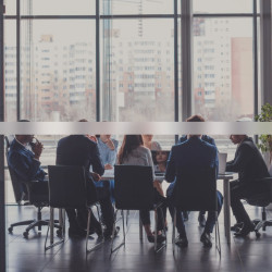 Frosted Visualization Strip for Glass Panes 5cm