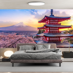 Japan Mount Fuji Panoramic wallpaper