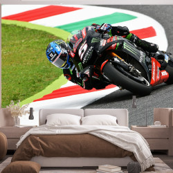 Moto GP Johann Zarco Panoramic wallpaper
