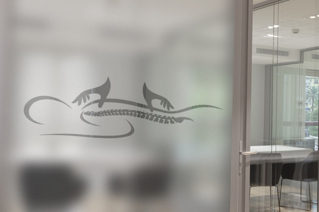 Osteopathy Physiotherapy Privacy Window film