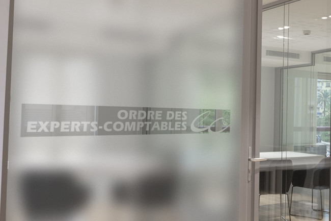 Chartered Accountant 2 Privacy Window film