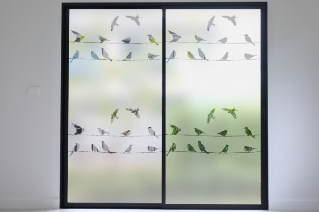 Birds on line Privacy Window film
