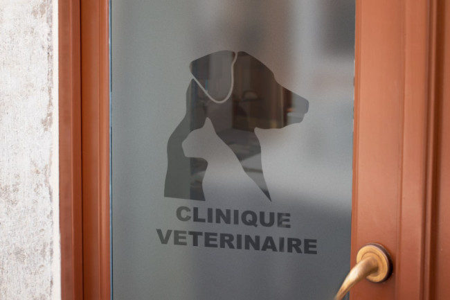 Veterinary clinic Logo Privacy Window film